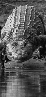 Black and white close-up of a walking crocodile by the water's edge.