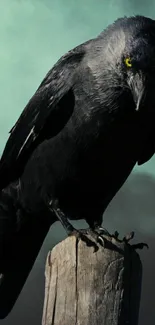 Majestic crow perched on a wooden post with cloud backdrop.