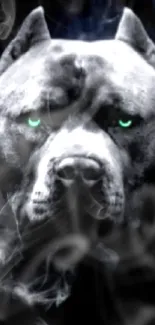 Majestic dark dog with green eyes on a smoky background wallpaper.