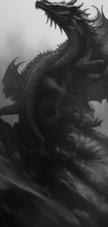 Dark and majestic dragon in misty black and grey artwork.