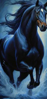 A majestic black horse gallops through water with flowing mane.