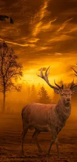 Majestic deer with large antlers in an orange sunset landscape.