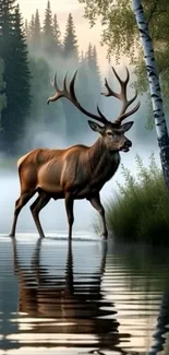 Majestic deer standing by a misty lake in the forest.