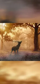 Majestic deer standing in a sunlit forest, surrounded by golden hues.