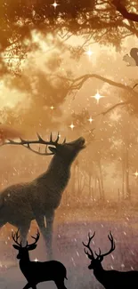 Majestic deer in enchanting forest wallpaper at sunset with silhouettes.