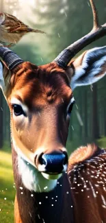 Majestic deer in a sunlit forest with serene green surroundings.