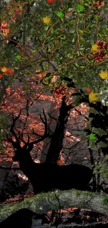 Silhouette of deer in autumn forest with colorful leaves.