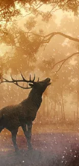 Majestic deer in a misty autumn forest with warm amber hues.