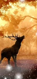 Majestic deer amidst autumn forest with glowing stars