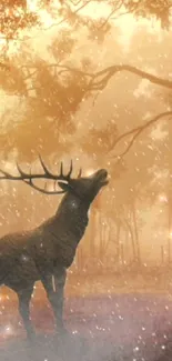 Majestic deer standing under autumn trees in serene forest.