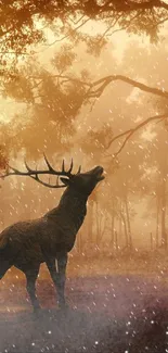 Majestic deer in sunlit forest with glowing trees.