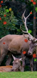 Majestic deer under falling colorful leaves in a vibrant forest scene.