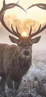 Majestic deer stands in frosty sunrise landscape with antlers framing the sun.