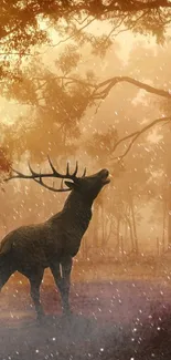 A majestic deer stands in a golden, misty forest at dawn, sprinkled with gentle snowfall.