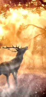 Majestic deer in a glowing golden forest landscape.