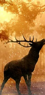 Majestic deer in a golden forest at sunset, perfect for mobile wallpaper.