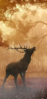 Deer stands tall in a misty forest with warm, brownish sunset hues.