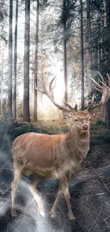 Majestic deer in a misty forest with sunlight streaming through trees.