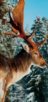 Majestic deer in a snowy forest setting.