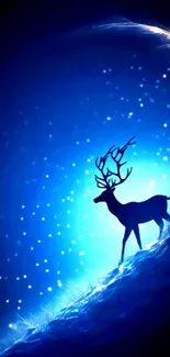 Majestic deer silhouette against a starry blue night sky.