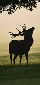 Majestic deer silhouette in a peaceful dawn landscape with soft lighting and trees.