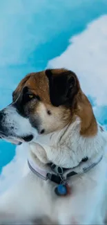 Majestic dog with snowy backdrop in calming blue hues.