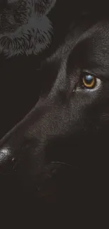 Majestic black dog silhouette on dark background.