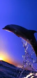 Dolphin leaping against a vibrant sunset sky with water splash.