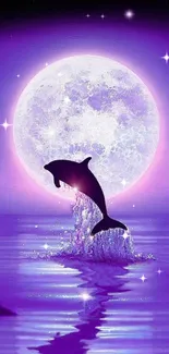 Dolphin leaping under a purple moonlit sky.