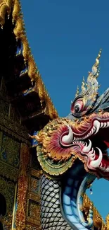 Colorful dragon sculpture on temple background.