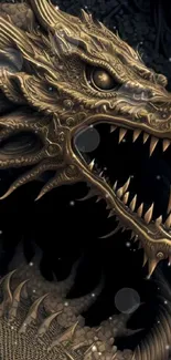 Intricate dark bronze dragon art design for mobile wallpaper.