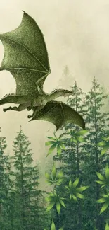 Dragon flying over a lush green forest wallpaper.