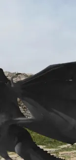 Black dragon on a stone path under a clear blue sky.