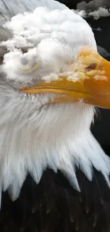 Majestic eagle head blended with clouds, symbolizing freedom.