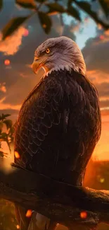 Majestic eagle perched at sunset with golden sky backdrop.