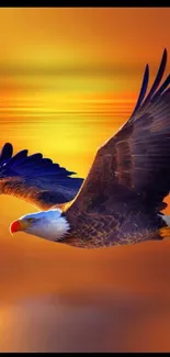 Majestic eagle soaring in golden sunset sky wallpaper.