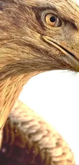 Close-up of a majestic eagle's face and feathers in brown tones.