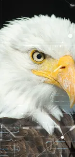 Close-up of bald eagle with digital effects on mobile wallpaper.