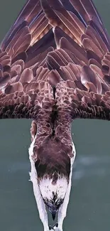 Majestic eagle diving into water with wings spread wide.