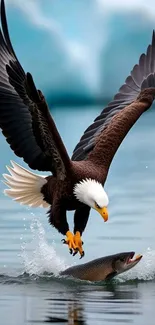 An eagle captures a fish over water in a dynamic wildlife scene.