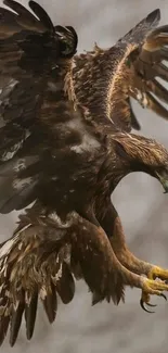 Majestic eagle in mid-flight with detailed feathers.