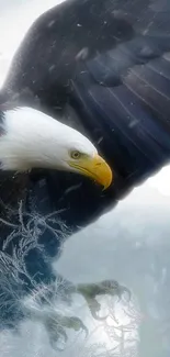 Majestic eagle in flight over a snowy landscape, creating a natural phone wallpaper.