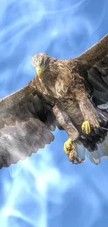 Majestic eagle soaring in a clear blue sky with wings spread wide.