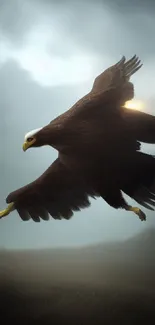 Majestic eagle soaring through a cloudy sky, embodying freedom and power.