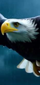 A majestic eagle soaring in the sky, showcasing its impressive wingspan.