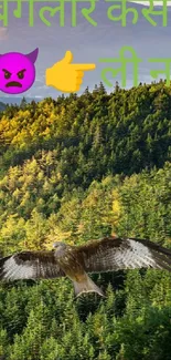 Eagle flying over lush green forest landscape