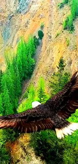 Eagle soaring over a vibrant green forest with rocky cliffs in the background.