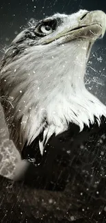 Majestic eagle with rain backdrop on mobile wallpaper.