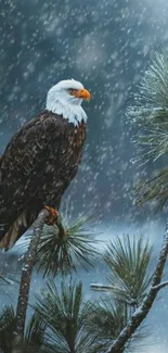 Majestic eagle perched on snowy branch with falling snow.