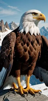 Majestic eagle perched on rock with mountains in background.